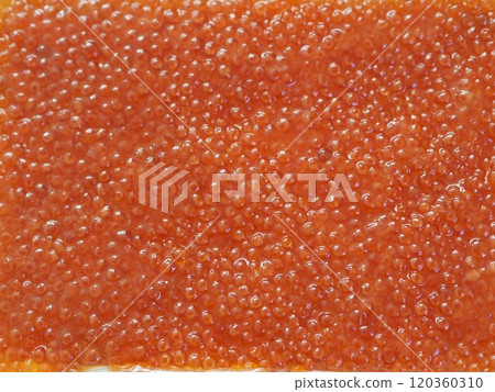 Salmon roe (packed and up) Salmon roe (packed and up) 120360310
