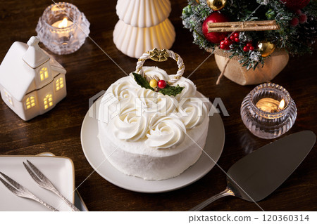 Christmas cake 120360314