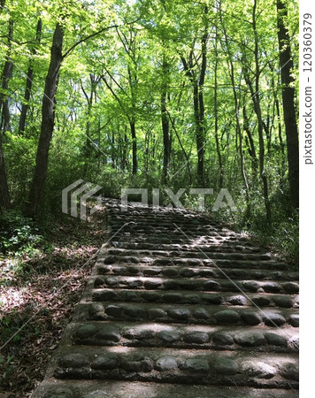 Scenery with green 120360379