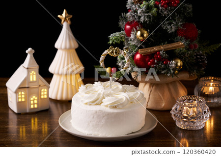 Christmas cake 120360420