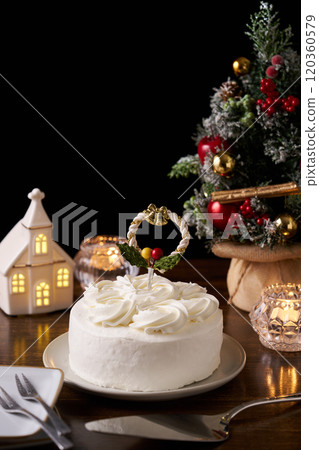 Christmas cake 120360579