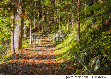 禦岳神社旁的御岳古道[木曾郡木曾町禦岳] 120360879