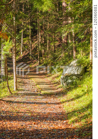 禦岳神社旁的御岳古道[木曾郡木曾町禦岳] 120360881