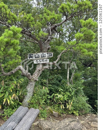 妻佐山頂（妻佐山*富山縣立山町） 120361167
