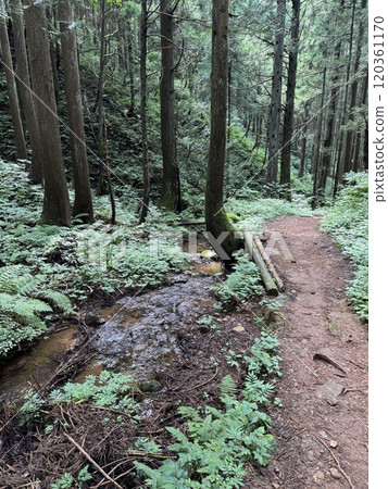 夏季登山道（常山*富山縣立山町） 120361170