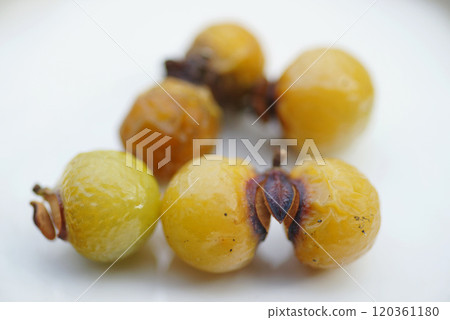 土星的果實 120361180