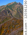 A hut with autumn leaves seen from Mt. Tanigatake 120361290
