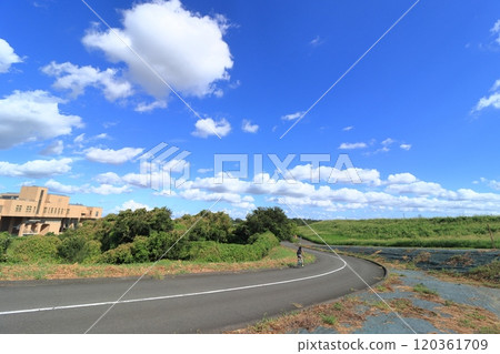Clear blue sky and park 120361709
