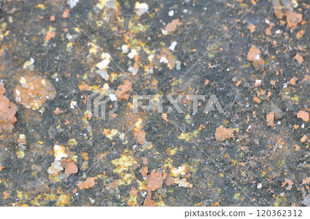wall or fence, old wall or old fence or cement wall or brown wall , brown background  or brown texture 120362312