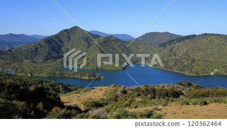 Bay in the Marlborough Sounds, New Zealand. 120362464