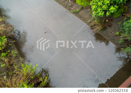 River on a rainy day River on a rainy day 120362558