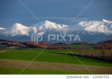 深秋的日本落葉松秋葉之地 120362591