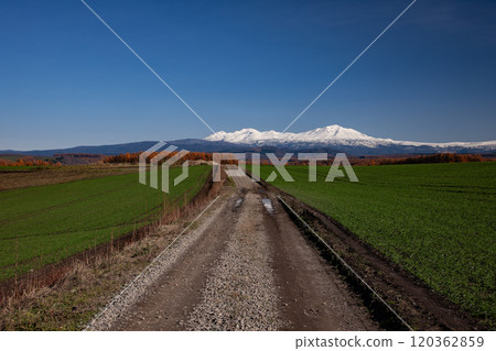 景觀與碎石路 120362859