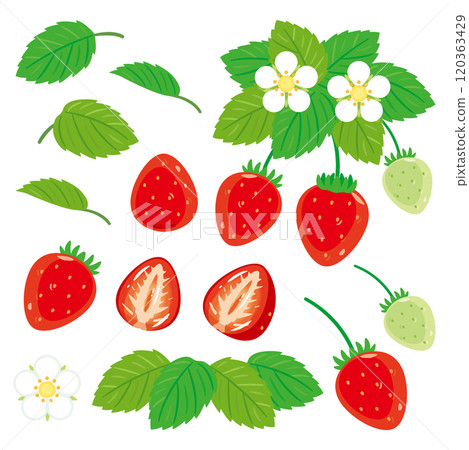 草莓套裝 120363429