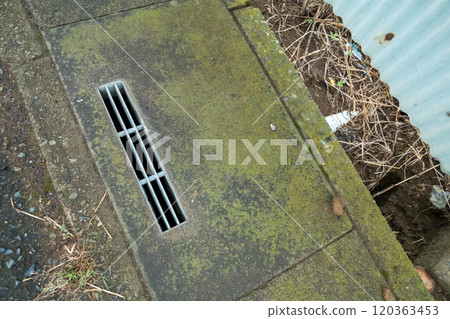 A drain cover that has turned green 120363453