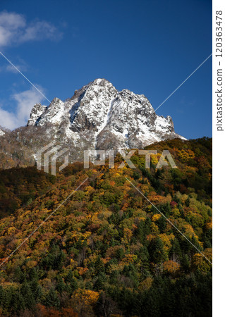 訂山溪的秋葉 訂山溪的秋葉 120363478