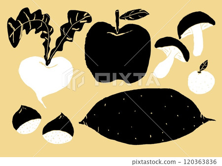Simple autumn vegetable illustration Simple autumn vegetable illustration 120363836