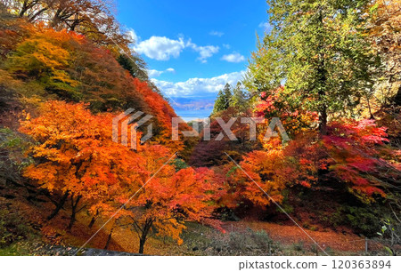 長野縣諏訪市:阿彌陀寺的風景 長野縣諏訪市:阿彌陀寺的風景 120363894