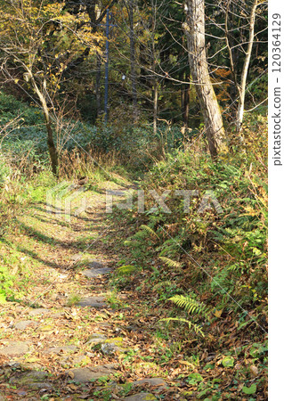 Sengoku Highway A stone paved road in Oizaka 120364129