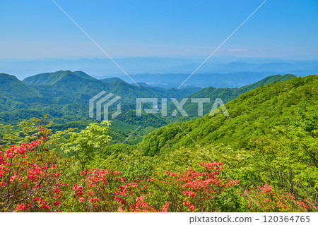 春天從群馬縣高崎市榛名山頂向南眺望 春天從群馬縣高崎市榛名山頂向南眺望 120364765