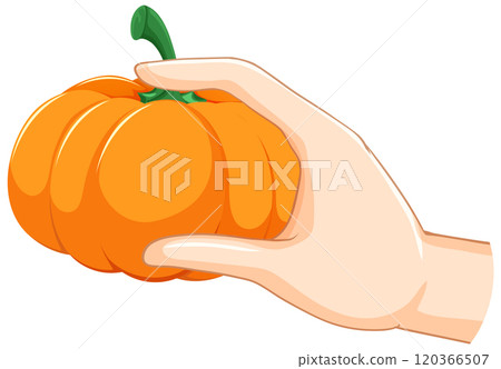 Hand Holding a Small Pumpkin 120366507