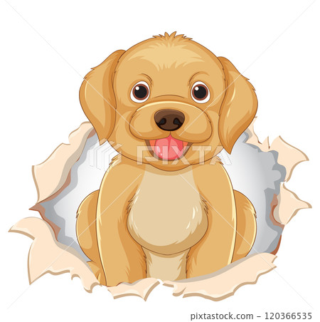 Cute Puppy Peeking Through Paper Cute Puppy Peeking Through Paper 120366535