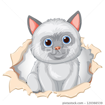 Cute Kitten Peeking Through Paper Cute Kitten Peeking Through Paper 120366539
