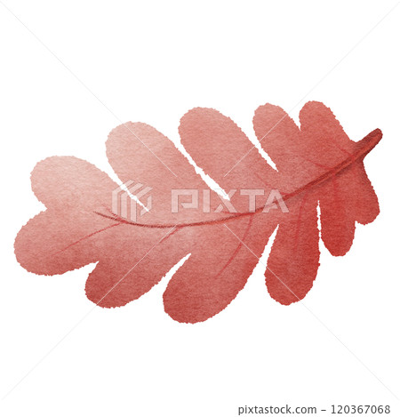 red autumn leaf  120367068
