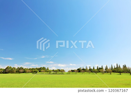 夏日藍天與清新的綠色公園風光 120367167