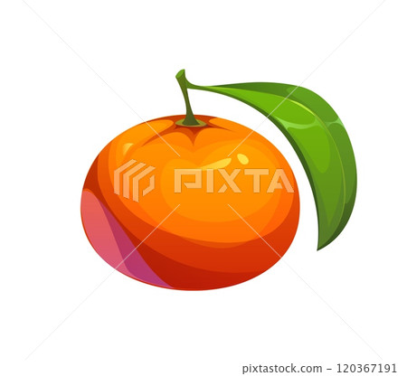 Tangerine, orange or mandarin fruit, symbol of chinese lunar new year holiday. Isolated cartoon vector juicy citrus fruit with a glossy peel and fresh green leaf attached, representing prosperity Tangerine, orange or mandarin fruit, symbol of chinese lunar new year holiday. Isolated cartoon vector juicy citrus fruit with a glossy peel and fresh green leaf attached, representing prosperity 120367191