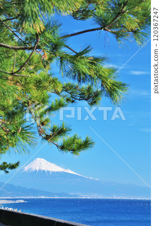 Miho no Matsubara and Mt. Fuji in Shizuoka prefecture blue sky Miho no Matsubara and Mt. Fuji in Shizuoka prefecture blue sky 120367247