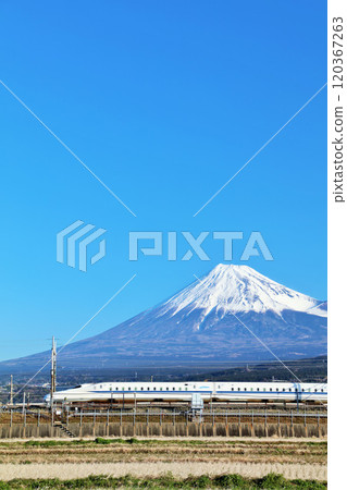 Shizuoka Prefecture: Mt. Fuji and the Shinkansen under a blue sky 120367263