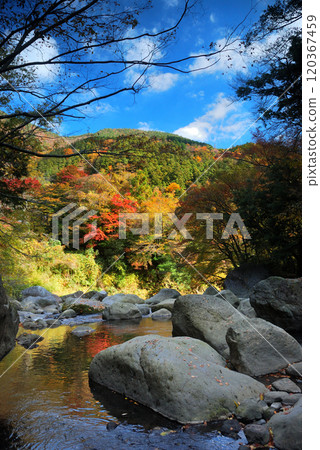 Kanagawa Prefecture, Hakone, Dogashima Valley Kanagawa Prefecture, Hakone, Dogashima Valley 120367459