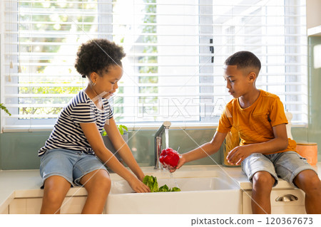 Washing vegetables in kitchen sink, young brother and sister helping with meal preparation 120367673