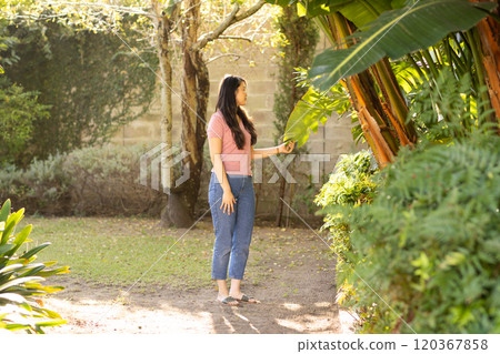 Touching plants and enjoying nature, Asian woman exploring garden outdoors Touching plants and enjoying nature, Asian woman exploring garden outdoors 120367858