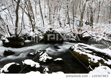 Snow scene 120367863