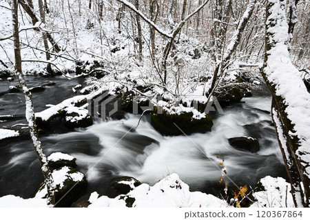 Snow scene 120367864