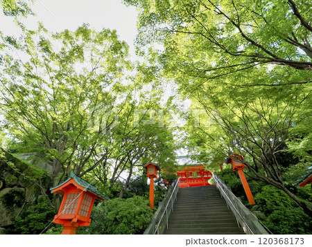 穴八幡宮/新宿區 120368173