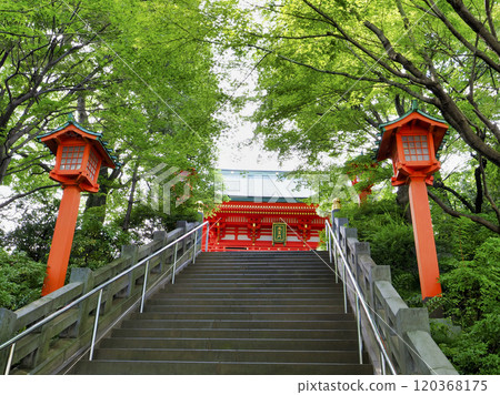 Anahachiman Shrine, Shinjuku Ward 120368175