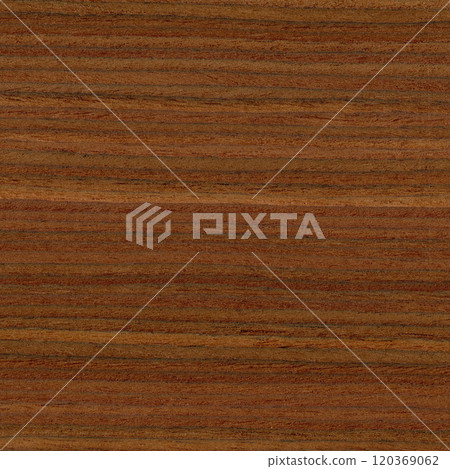 Pelesenk wood, can be used as background, wood grain texture 120369062