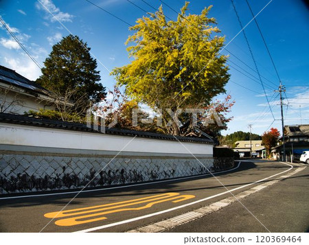 Okayama Tanjoji Temple Large Ginkgo Tree 120369464