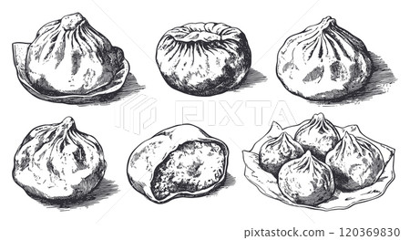 Dumpling Collection Engraving Illustration White Background Delicious Dumplings Detailed Illustrations Asian Cuisine Culinary Art Tasty Treats Traditional Recipes Steamed Dumplings 120369830