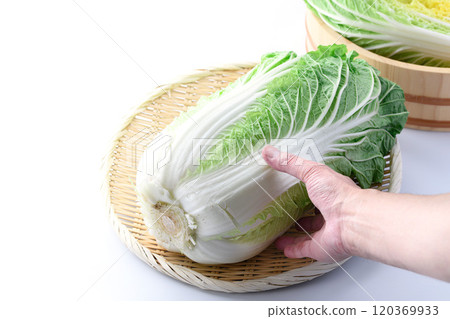 Fresh winter cabbage (white background) Fresh winter cabbage (white background) 120369933