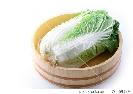 Fresh winter cabbage (white background) Fresh winter cabbage (white background) 120369939