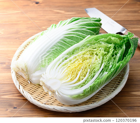 鮮冬大白菜（半切）木紋背景 120370196