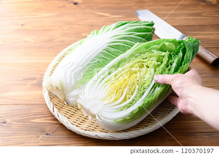 鮮冬大白菜（半切）木紋背景 120370197