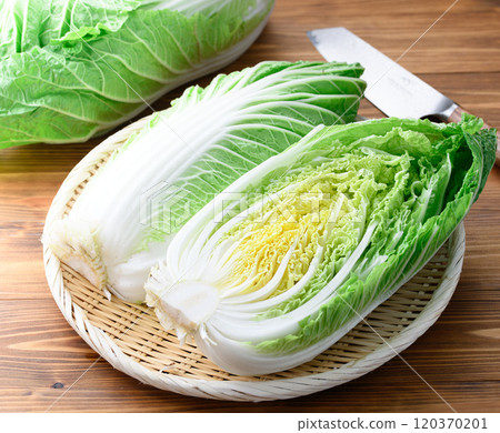 鮮冬大白菜（半切）木紋背景 120370201