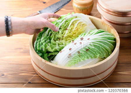 醃製大白菜(醃泡菜) 醃製大白菜(醃泡菜) 120370366