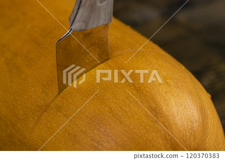 the tough orange peel of a ripe pumpkin 120370383