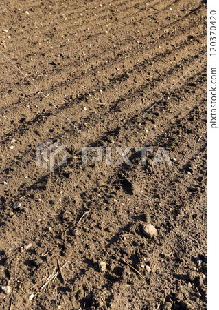 fertile soil in spring during the preparation for sowing fertile soil in spring during the preparation for sowing 120370420